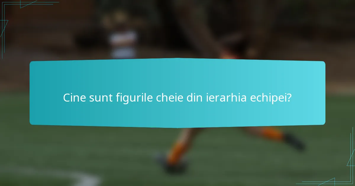 Cine sunt figurile cheie din ierarhia echipei?