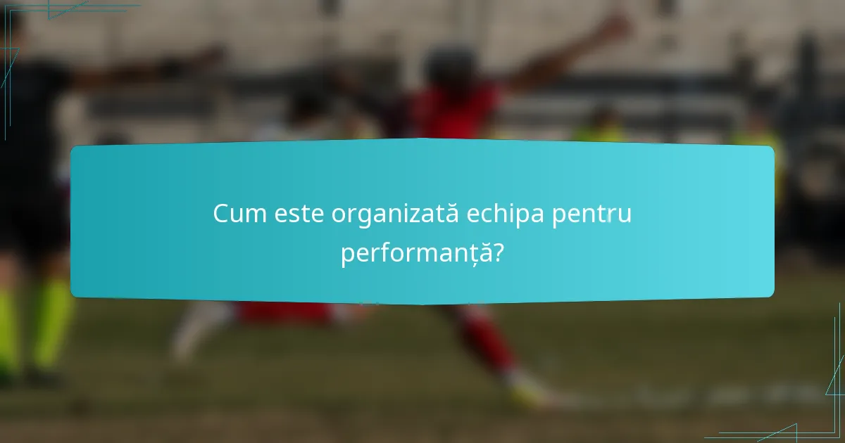 Cum este organizată echipa pentru performanță?