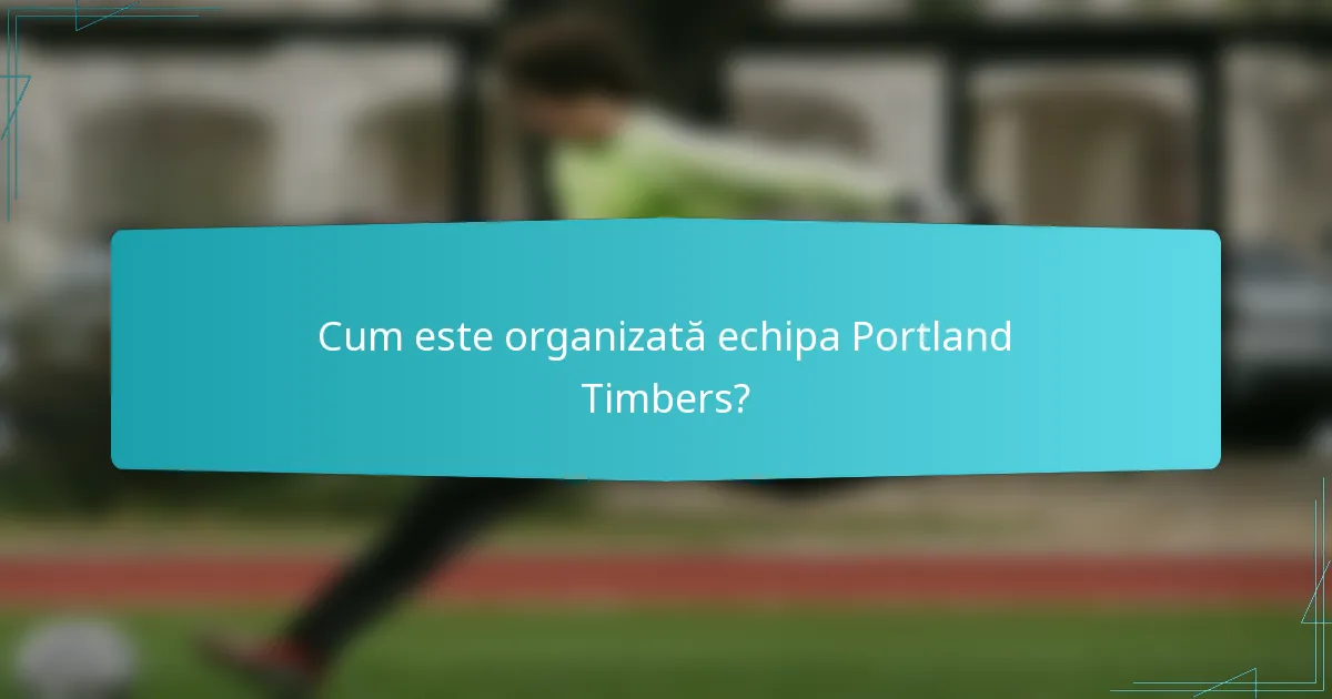 Cum este organizată echipa Portland Timbers?